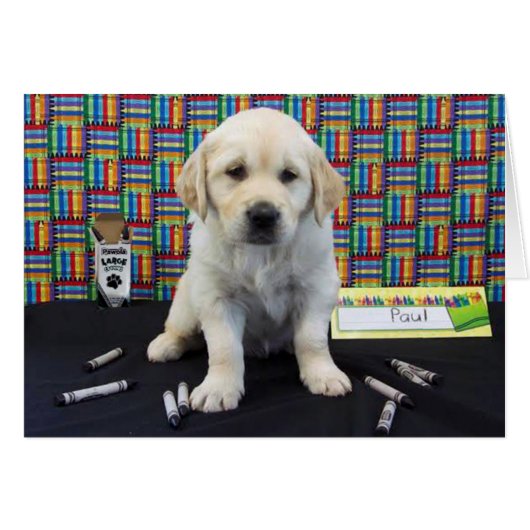 Paul week 6 (Front Horizontal)