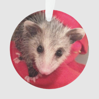 Paulee the Little O'Possum from Southern Indiana Ornament