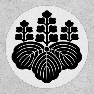 Paulownia with 5-7 blooms patch