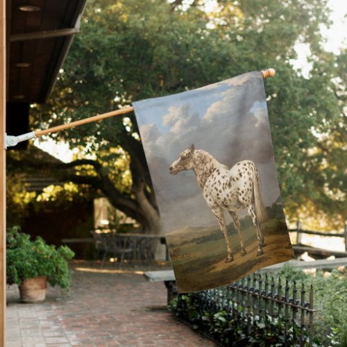 Paulus Potter _ The Piebald Horse House Flag