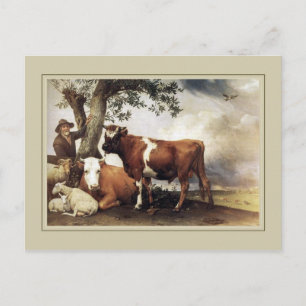 Paulus Potter,'Young Bull' 1647 Postcard