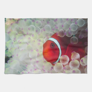 Paupau New Guinea, Great Barrier Reef, Kitchen Towel