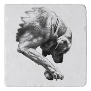 Pause Before Play Trivet