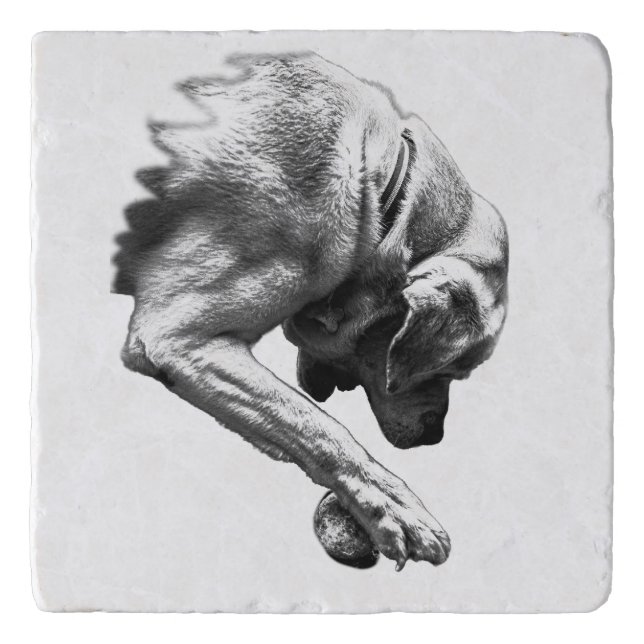 Pause Before Play Trivet (Front)