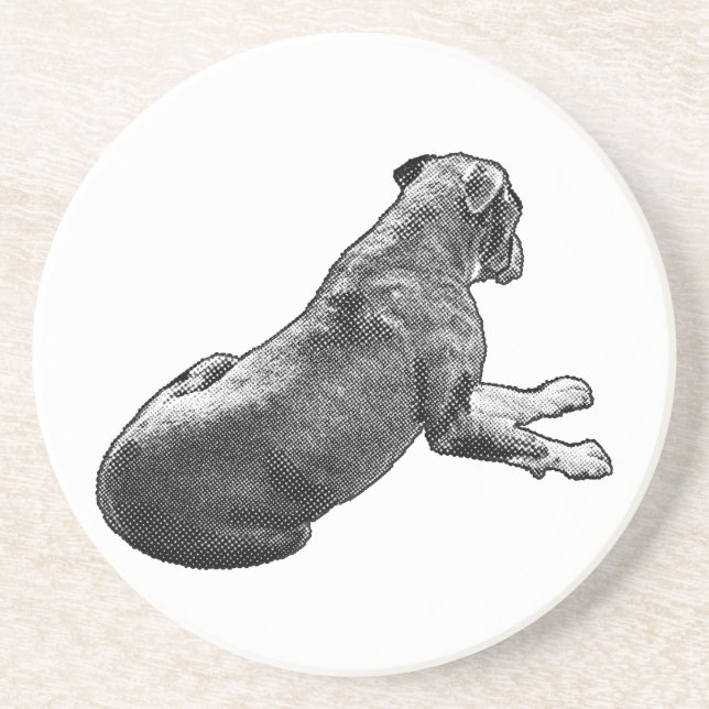 Pause Beside A Gaze Coaster (Front)