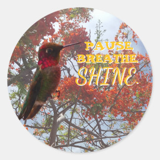 PAUSE. BREATHE. SHINE. Hummingbird  Classic Round Sticker