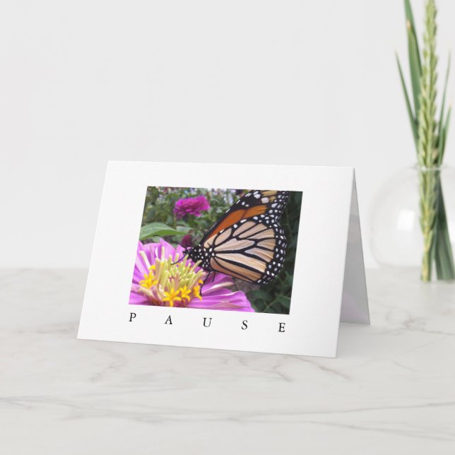 Pause Card: Monarch on Pink Zinnia Card (Front)