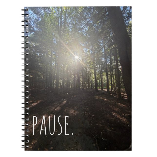 Pause Sunlit Forest Trail Notebook (Front)