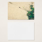 Pavement (Front & Back)