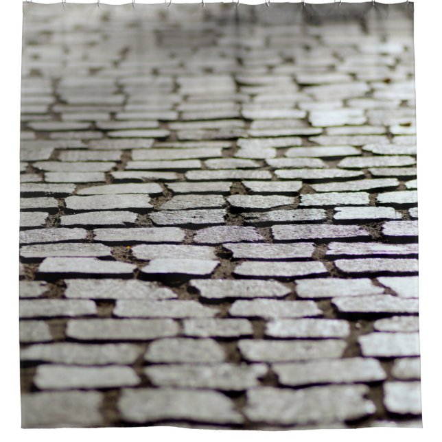 Pavement cobblestones walkway shower curtain (Front)