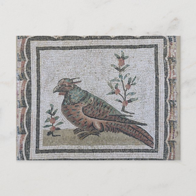 Pavement depicting a pheasant postcard (Front)