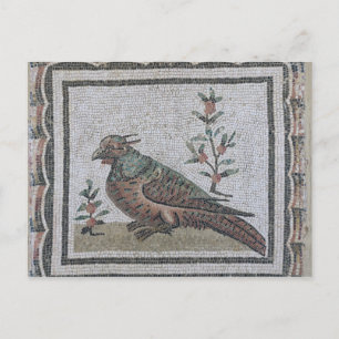 Pavement depicting a pheasant postcard