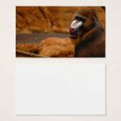 Pavian/Baboon (Front & Back)