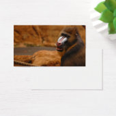 Pavian/Baboon (Desk)