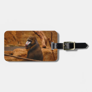 Pavian/Baboon Luggage Tag