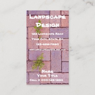 Paving Stones and Weeds In The Walkway Photograph