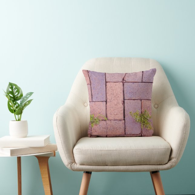 Paving Stones and Weeds In The Walkway Photograph Throw Pillow (Chair)