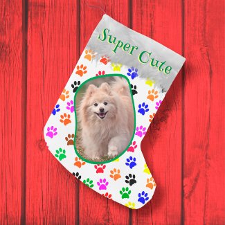 Paw Dog Lover Cat Lady Pet Colorful Photo Name Fun