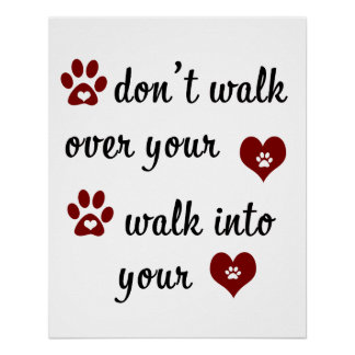 Paw Heart  Quote Glossy Poster