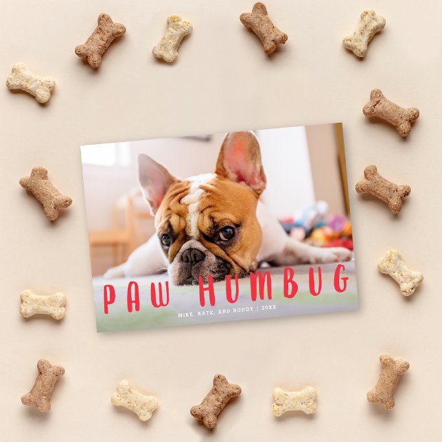 Paw Humbug Funny Cute Dog Cat Holiday Photo Card (Creator Uploaded)