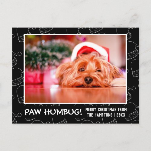 Paw Humbug Pet Photo Black Santa Hat Holiday Postcard