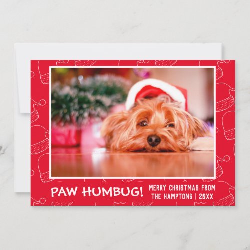 Paw Humbug Pet Photo Red Holiday Card