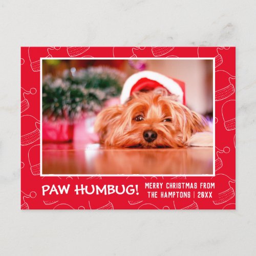 Paw Humbug Pet Photo Red Santa Hat Holiday Postcard