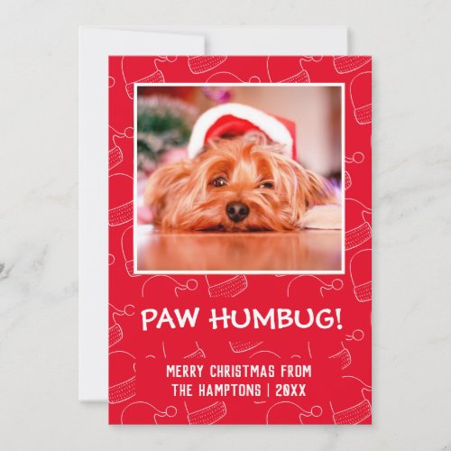 Paw Humbug Red Pet Photo Holiday Card