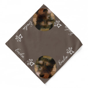 Paw Photo Brown Pet Bandana