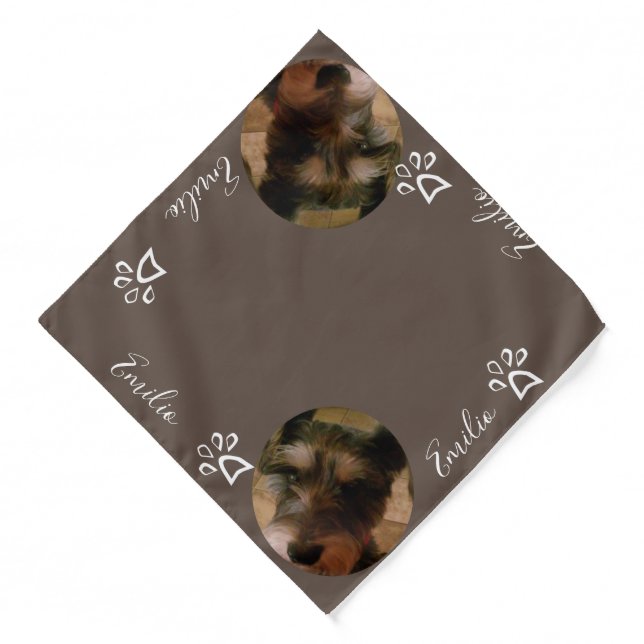 Paw Photo  Brown Pet Bandana (Front)