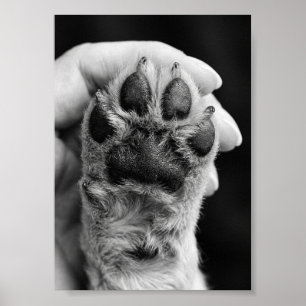 Paw Photo Custom 5 by 7 Photo Pet Keepsake Poster