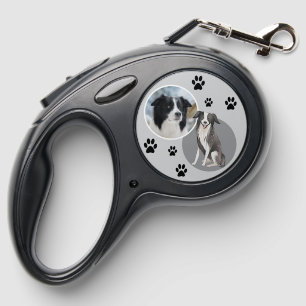 Paw Print Border Collie Dog Photo Name Retractable Pet Leash