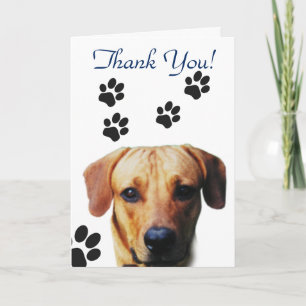 Paw Print Dog Thank You Card