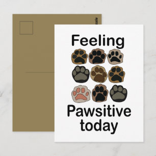 Paw Print Feeling Pawsitive Today Lets Pawty Postcard