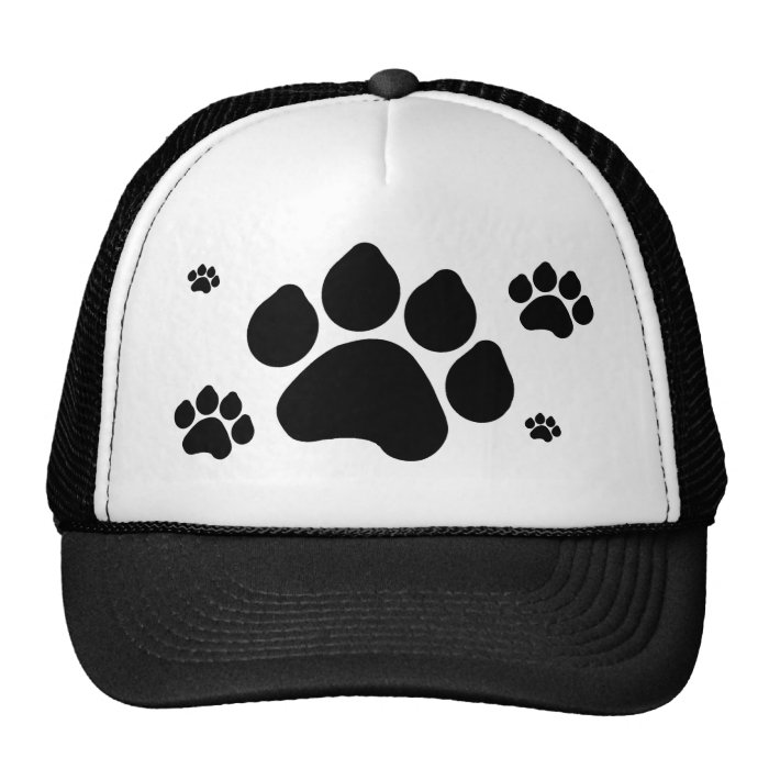 Paw Print Hat