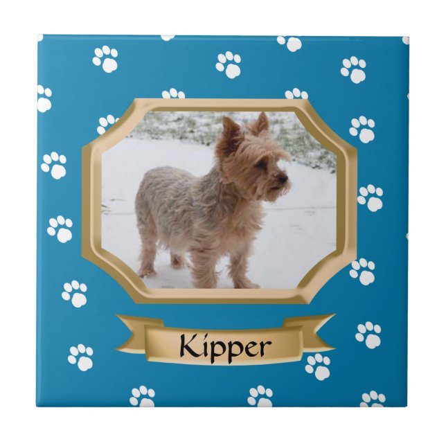 Paw Print Pet Photo Blue Ceramic Tile (Front)