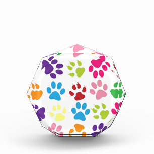 Paw Prints Acrylic Award