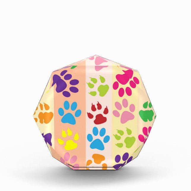 Paw Prints Award (Front)