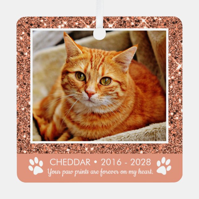 Paw Prints Cat Memorial Photo Metal Ornament (Front)