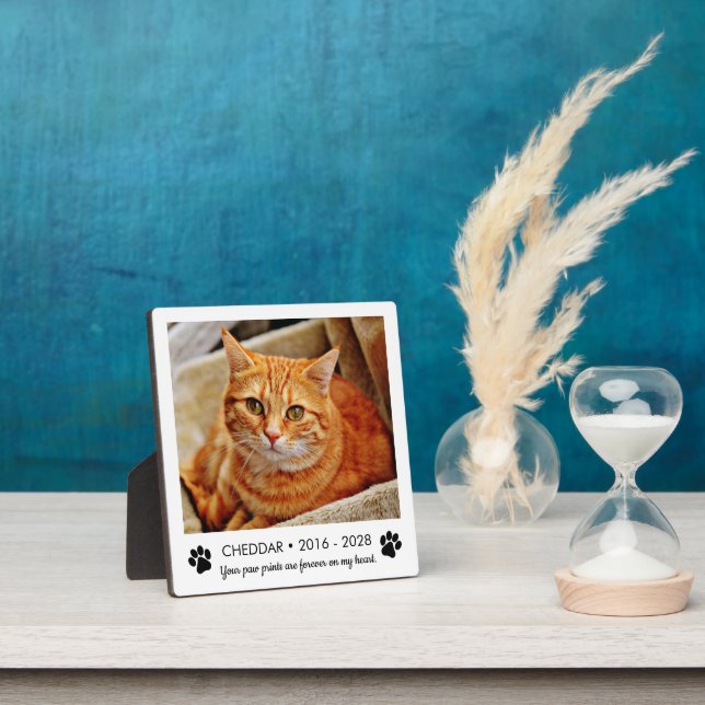 Paw Prints Cat Memorial Photo Plaque (Insitu)
