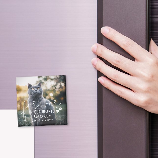 Paw Prints Forever In Our Hearts Cat Photo Magnet (Creator Uploaded)