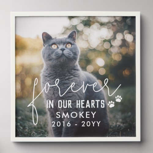 Paw Prints Forever In Our Hearts Cat Photo Peel And Stick Photo Tile