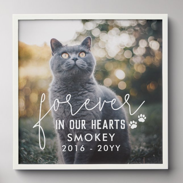 Paw Prints Forever In Our Hearts Cat Photo Peel And Stick Photo Tile (Front Set)