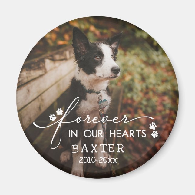 Paw Prints Forever In Our Hearts Pet Photo Magnet (Front)