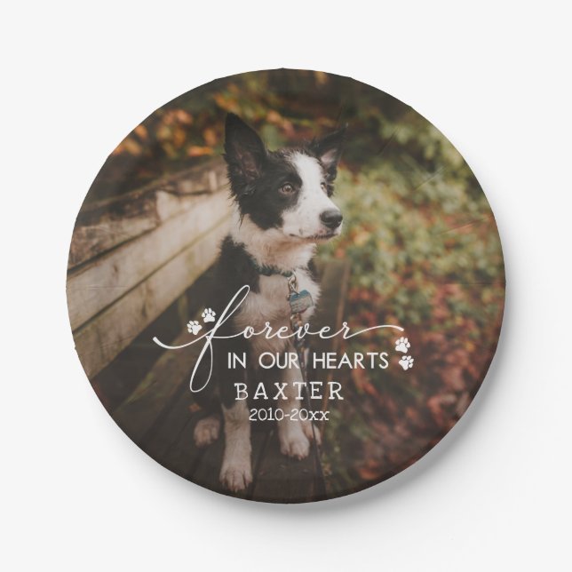 Paw Prints Forever In Our Hearts Pet Photo Paper Plates (Front)