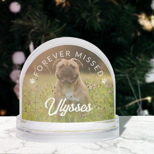 Paw Prints Forever Missed Name Dog Photo Snow Globe