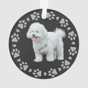 Paw Prints Frame Custom Pet Photo Ornament
