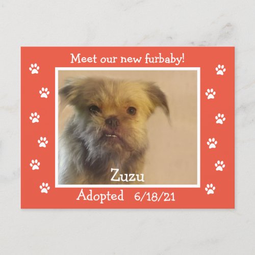Paw Prints Frame Pet Adoption Save the Date  Postcard