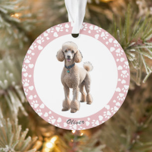 Paw Prints Hearts Frame Custom Pet Memorial Ornament