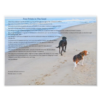 Paw Prints in The Sand 8.79" x 6.59" Print